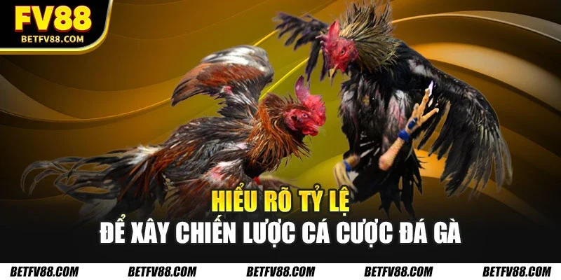 Các Chiến Lược Cá Cược Đá Gà Tối Ưu Giúp Bạn Thắng Lớn Fv88 1 Hiểu rõ tỷ lệ để xây chiến lược cá cược đá gà