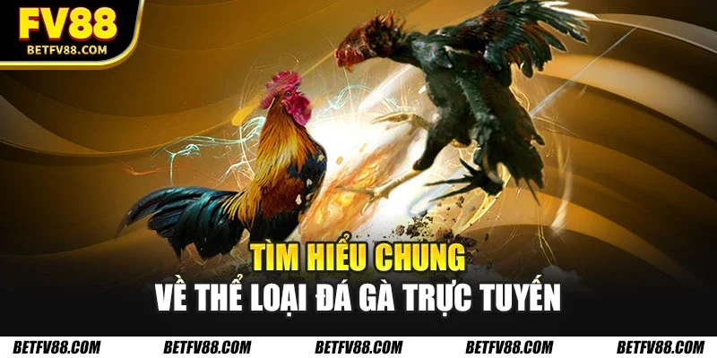 Đá Gà Trực Tuyến - Những Thể Loại Bạn Không Thể Bỏ Qua 1 Tìm hiểu chung về thể loại đá gà trực tuyến