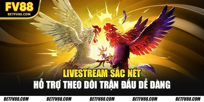 Những Trận Đấu Đá Gà Hay Nhất Trong Tháng Tại FV88 3 Livestream sắc nét hỗ trợ theo dõi trận đấu dễ dàng